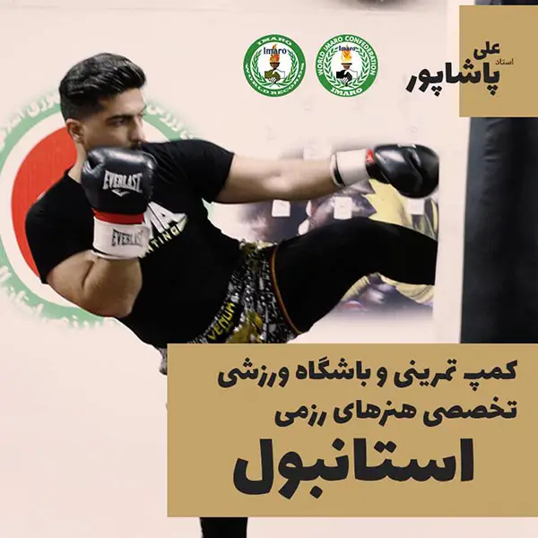 آکادمی تخصصی هنرهای رزمی علی پاشاپور